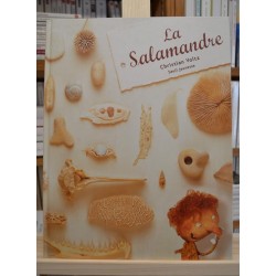 La salamandre Voltz Seuil Album jeunesse 3 ans livre occasion Lyon