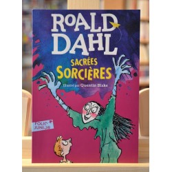 Sacrées sorcières Roald Dahl Folio junior Roman jeunesse 10 ans Poche occasion Lyon