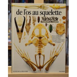 Les Yeux de la Découverte - De l'os au squelette  Gallimard Documentaire 9 ans jeunesse livres occasion Lyon