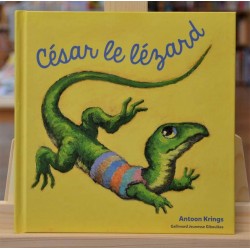 Les drôles de petites bêtes 25 César le lézard Krings Gallimard Giboulées Album jeunesse 3 ans livre occasion Lyon