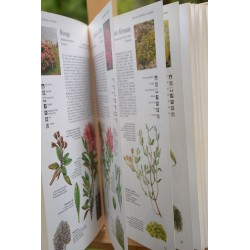 Guide des arbres et arbustes Livre nature d'occasion Le Magasin des Livres