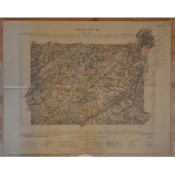 Carte géographique ancienne Lyon et environs