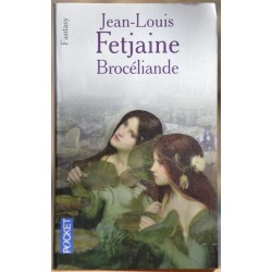 Le pas de Merlin 2 Brocéliande de Jean-Louis Fetjaine, un roman Fantasy en poche occasion