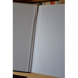 Histoire de Lyon - Des origines à nos jours de Jacques Pelletier - Livre d'occasion