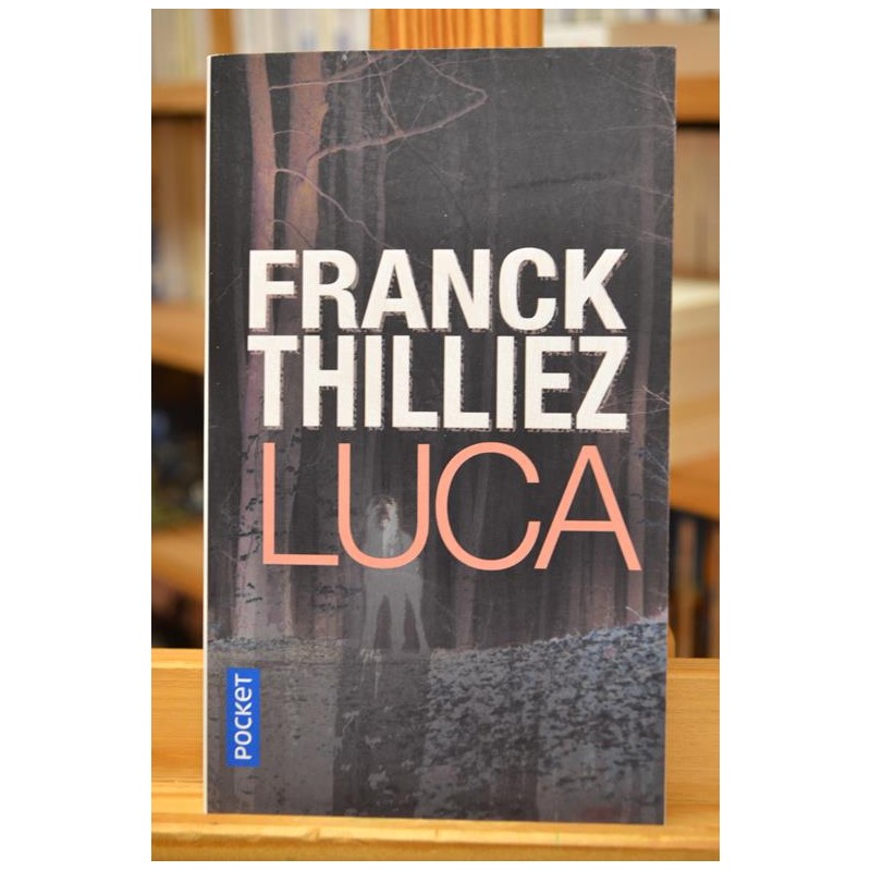 Luca Sharko Thilliez Pocket Thriller Poche occasion