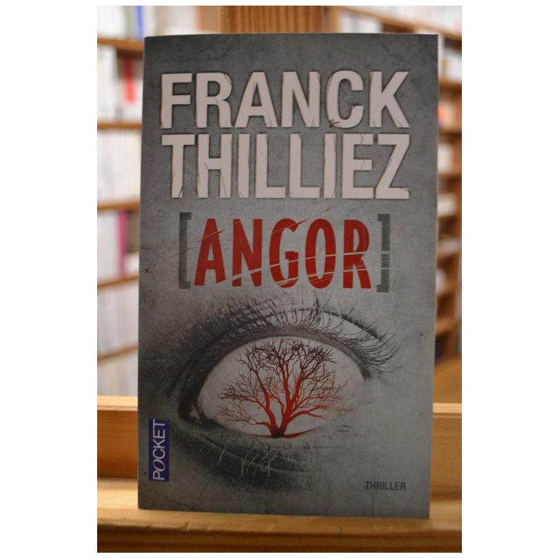 Angor Sharko Franck Thilliez Pocket Thriller Poche occasion