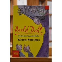 Sacrées sorcières Roald Dahl Folio junior Roman jeunesse 10 ans Poche occasion